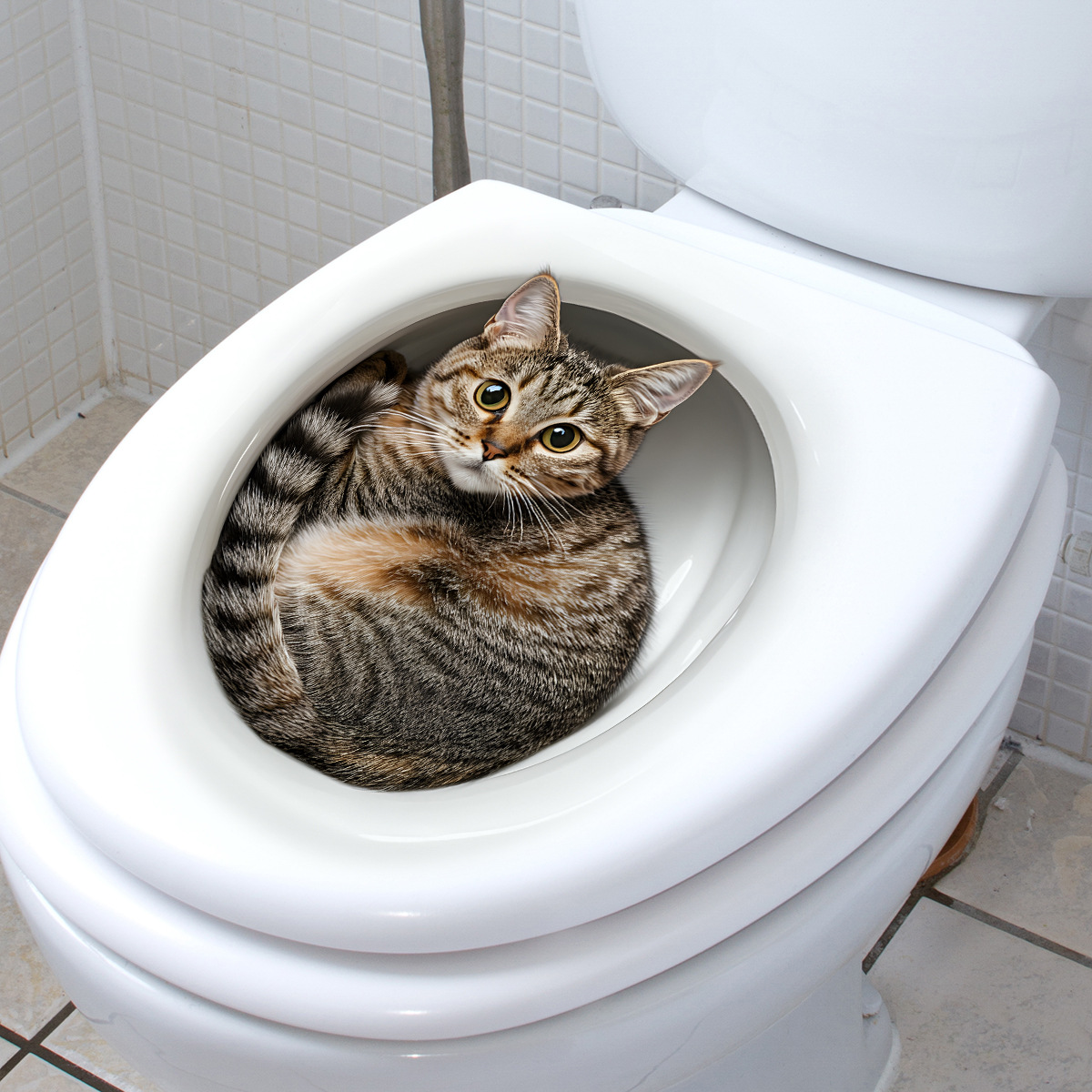 3D Funny Cat Toilet Sticker Ba - Home Bathroom Gadgets recension och pris